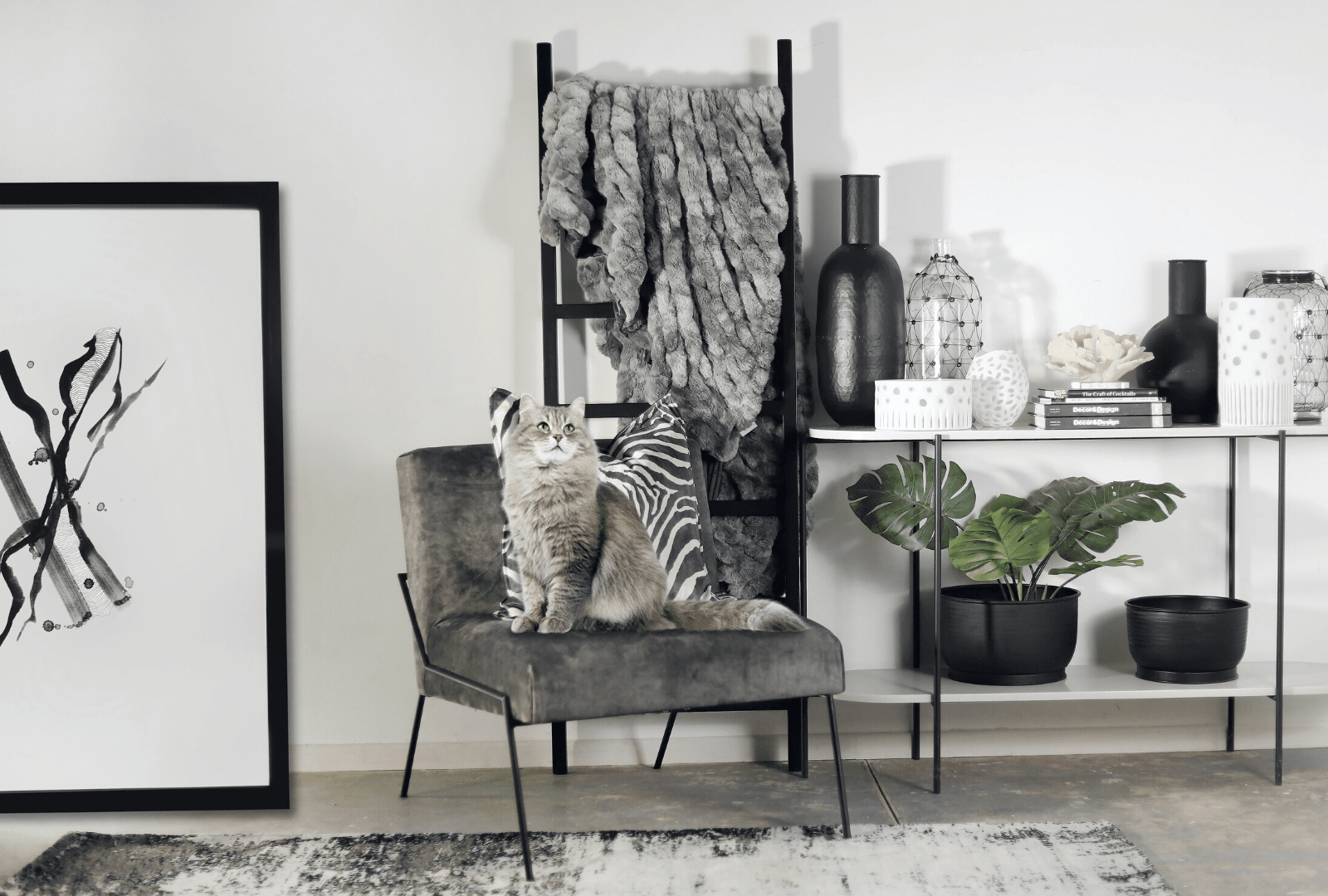 Deck the Paws: Pet-Friendly Furniture Ideas for the Holidays – A Guide For The Season's Festivities