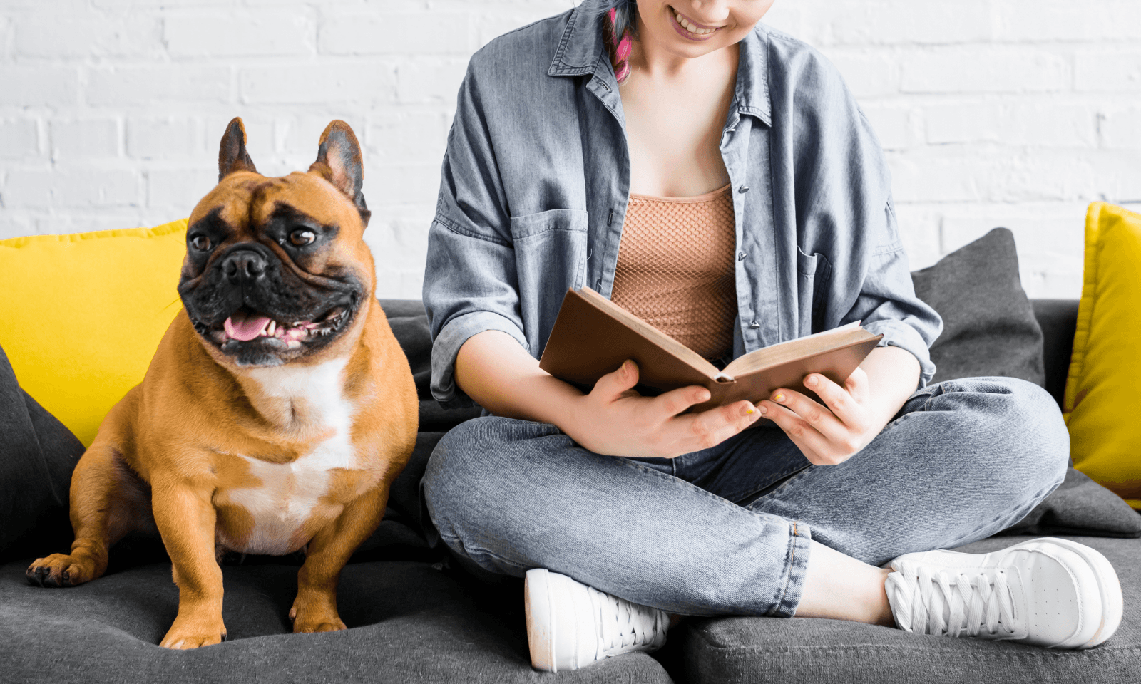 PET AND KID FRIENDLY DÉCOR
