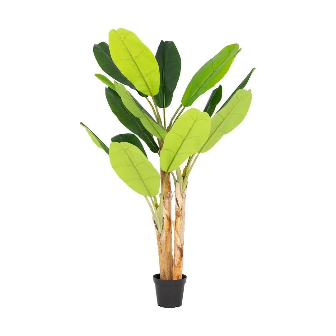 Faux Banana Plant Decor Leather Gallery Green 200cm 