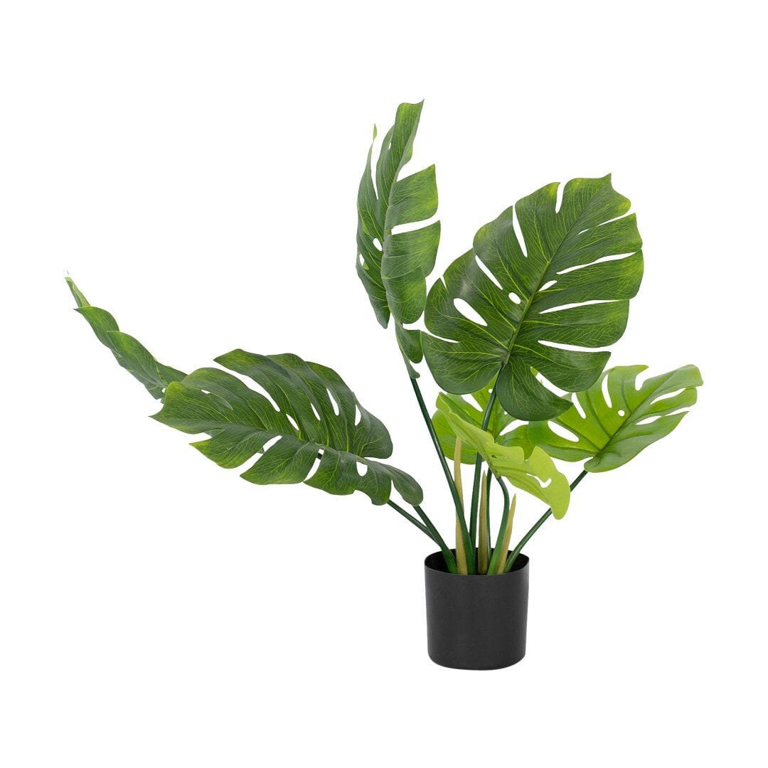 Faux Monsteria Plant - Small Decor Leather Gallery Green 60cm 