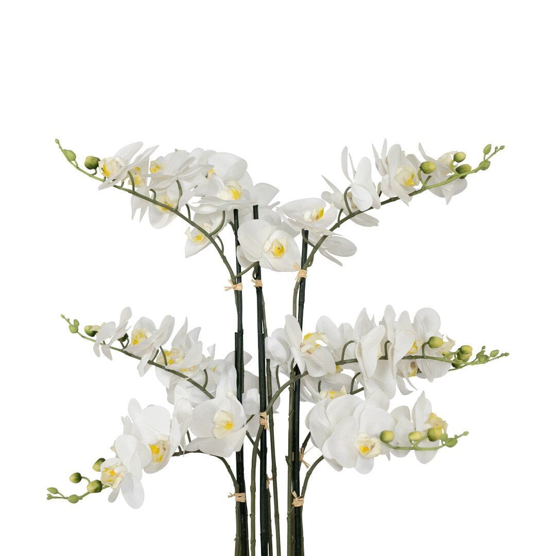 Pratt White Orchid Decor Leather Gallery White 105cm 