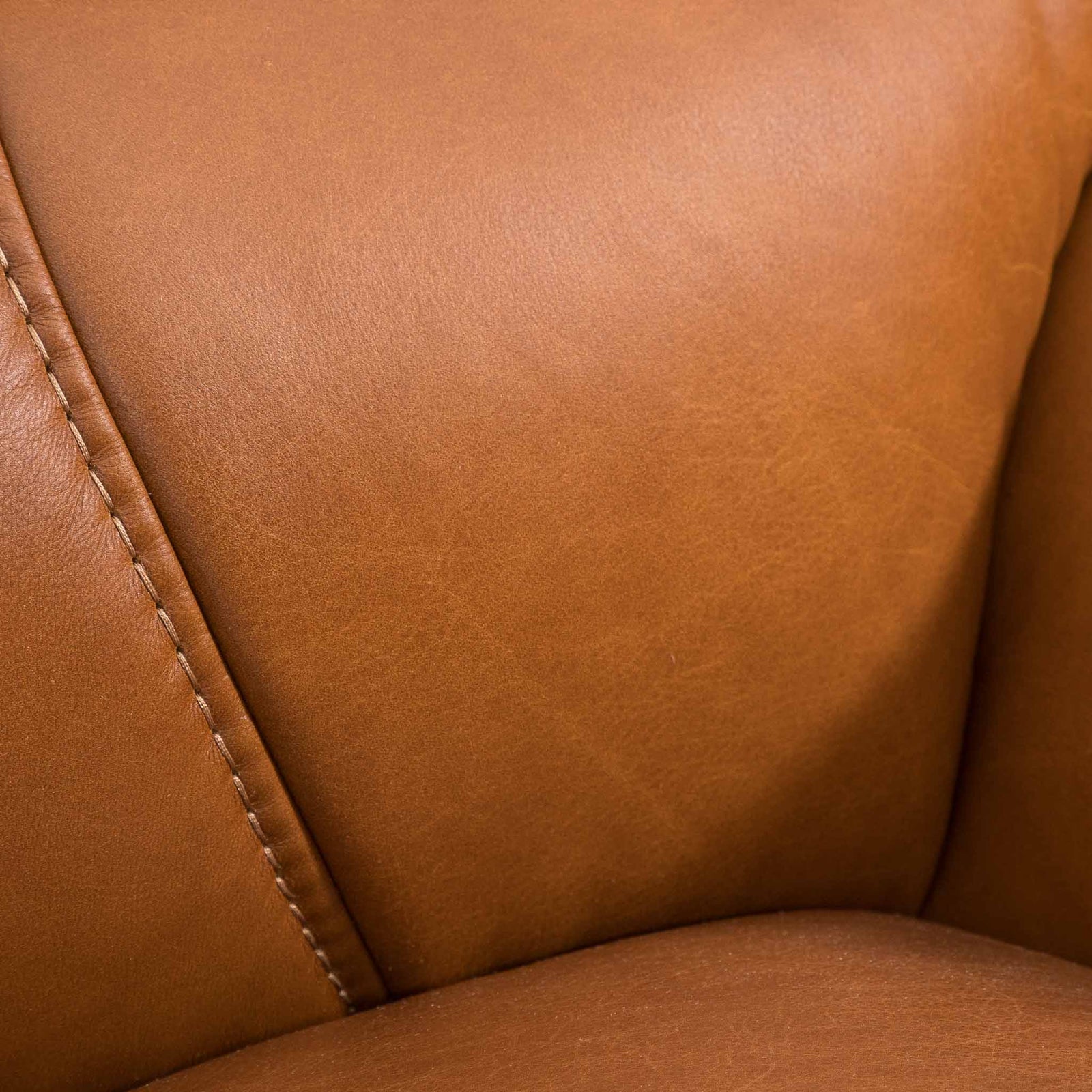 Close-up of the Leather Gallery Zuri 1 Seater Leather Couch in Czar Pecan, showing smooth leather texture and stitching detail.