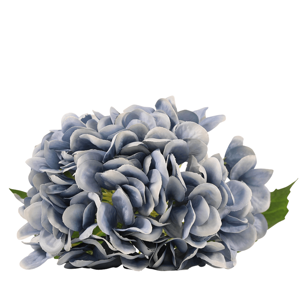Dusty Blue Stemmed Hydrangea Decor Leather Gallery