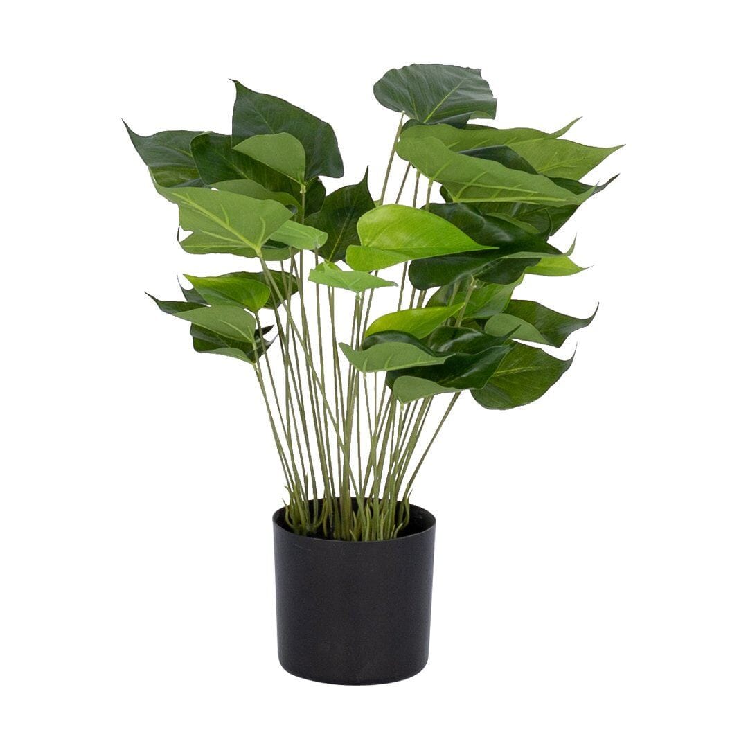 Faux Anthurium Plant Decor Leather Gallery Green 50cm