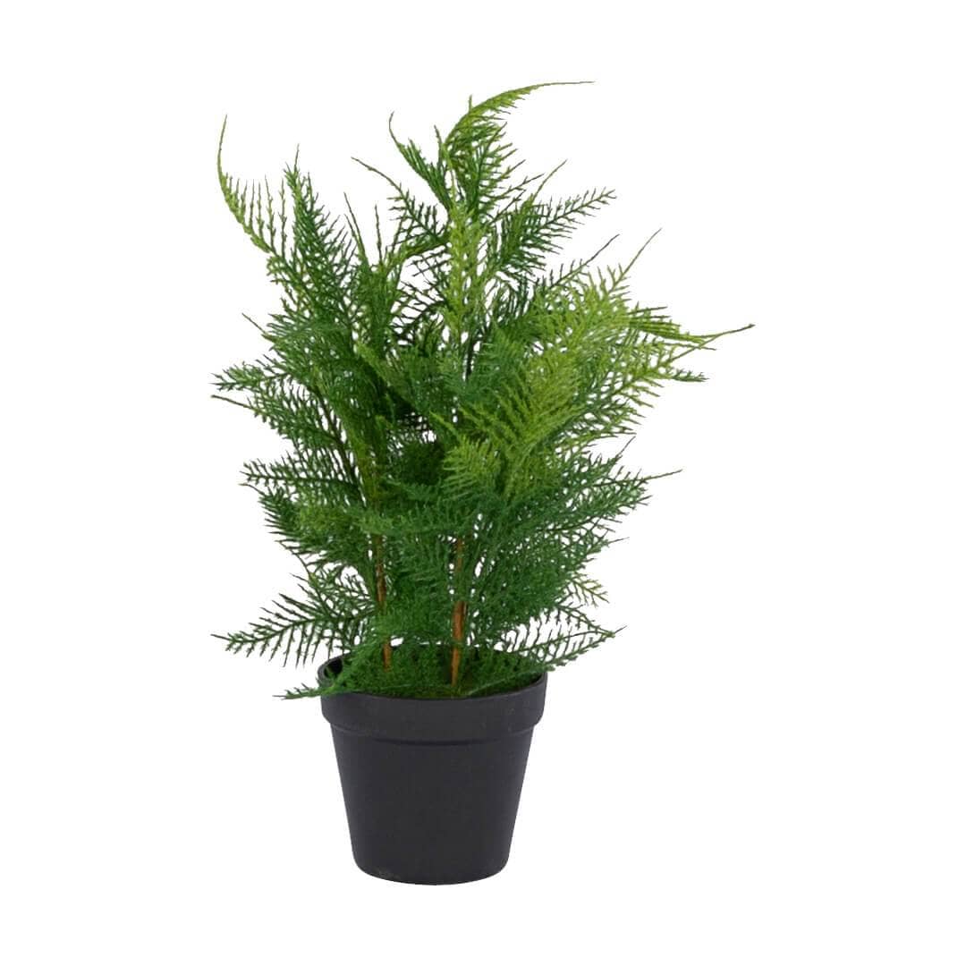 Faux Asparagus Fern Plant Decor Leather Gallery Green L- 36cm x W-36cm x H-42cm x Pot height-11cm