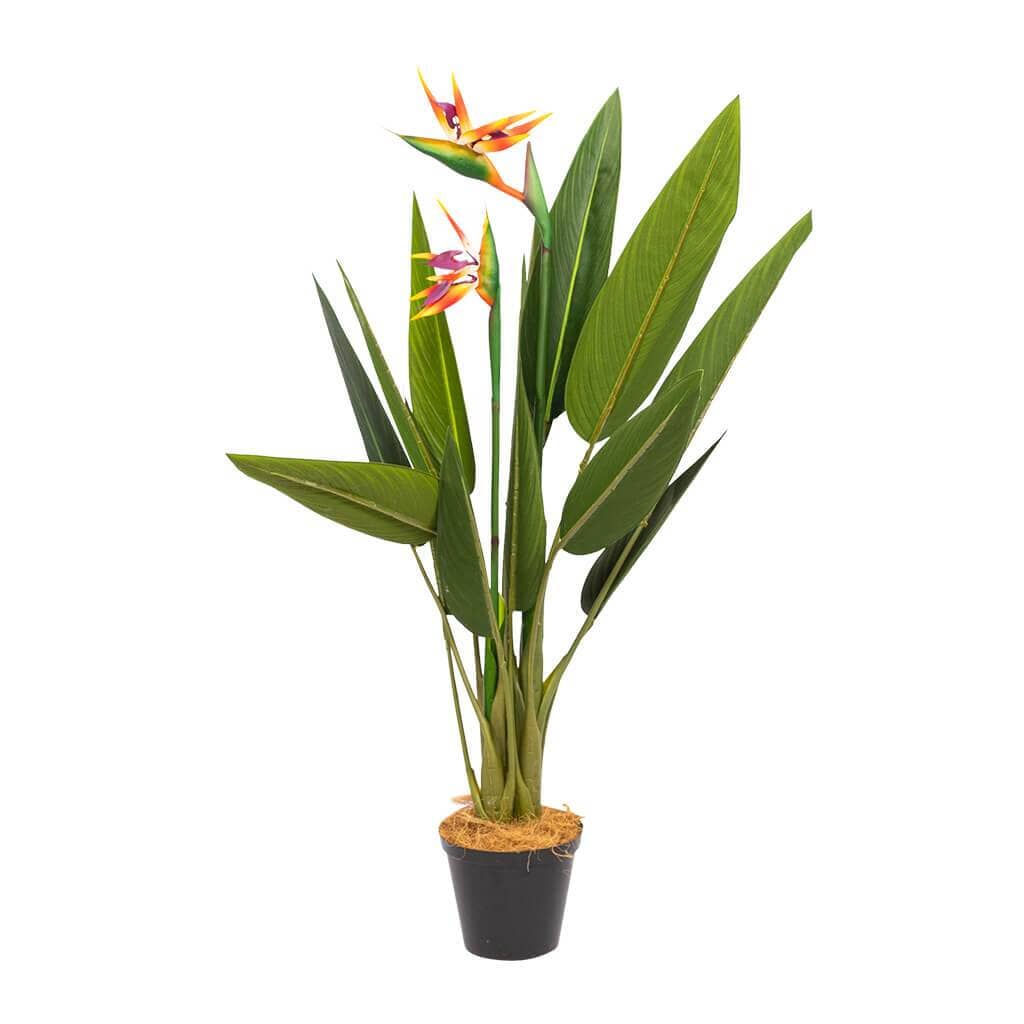 Faux Birds of Paradise Decor Leather Gallery