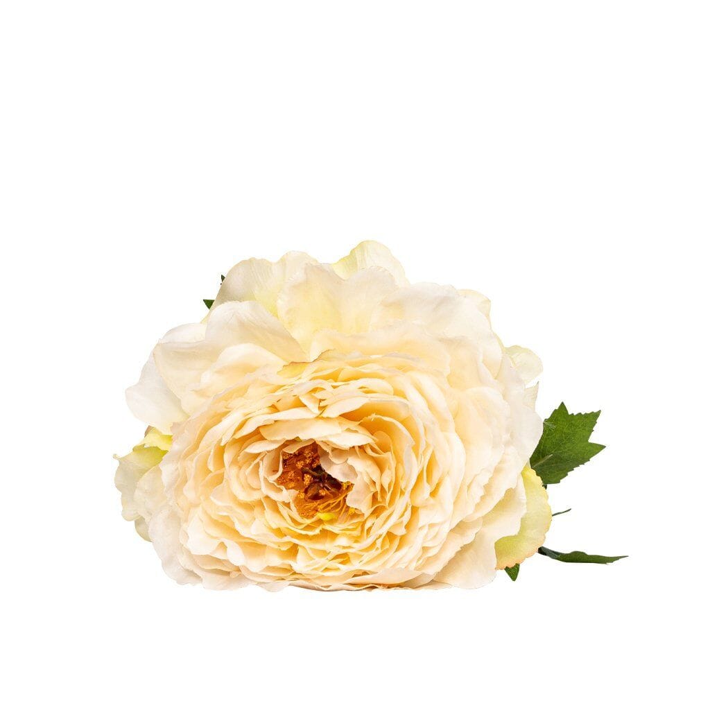 Faux Blush Tutu Decor Leather Gallery