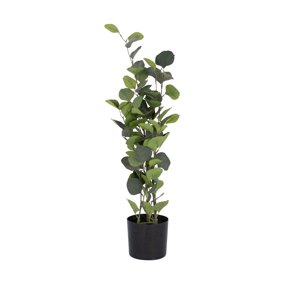 Faux Eucalyptus Plant Decor Leather Gallery Green 73cm