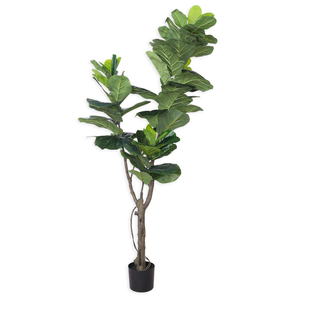 Faux Fiddle Leaf Fig Tree Decor Leather Gallery