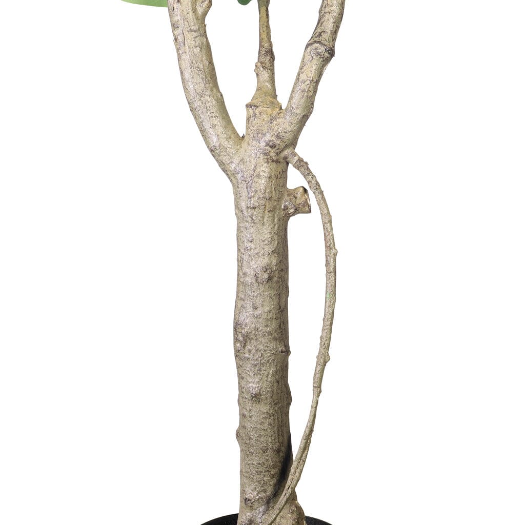 Faux Fiddle Leaf Fig Tree Decor Leather Gallery