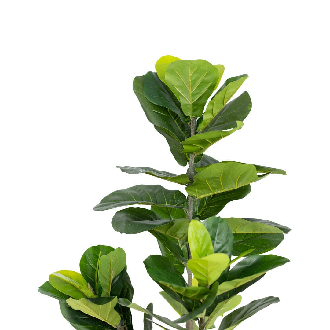 Faux Fiddle Leaf Fig Tree Decor Leather Gallery