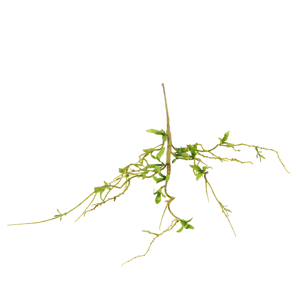 Faux Hothouse Branch Decor Leather Gallery