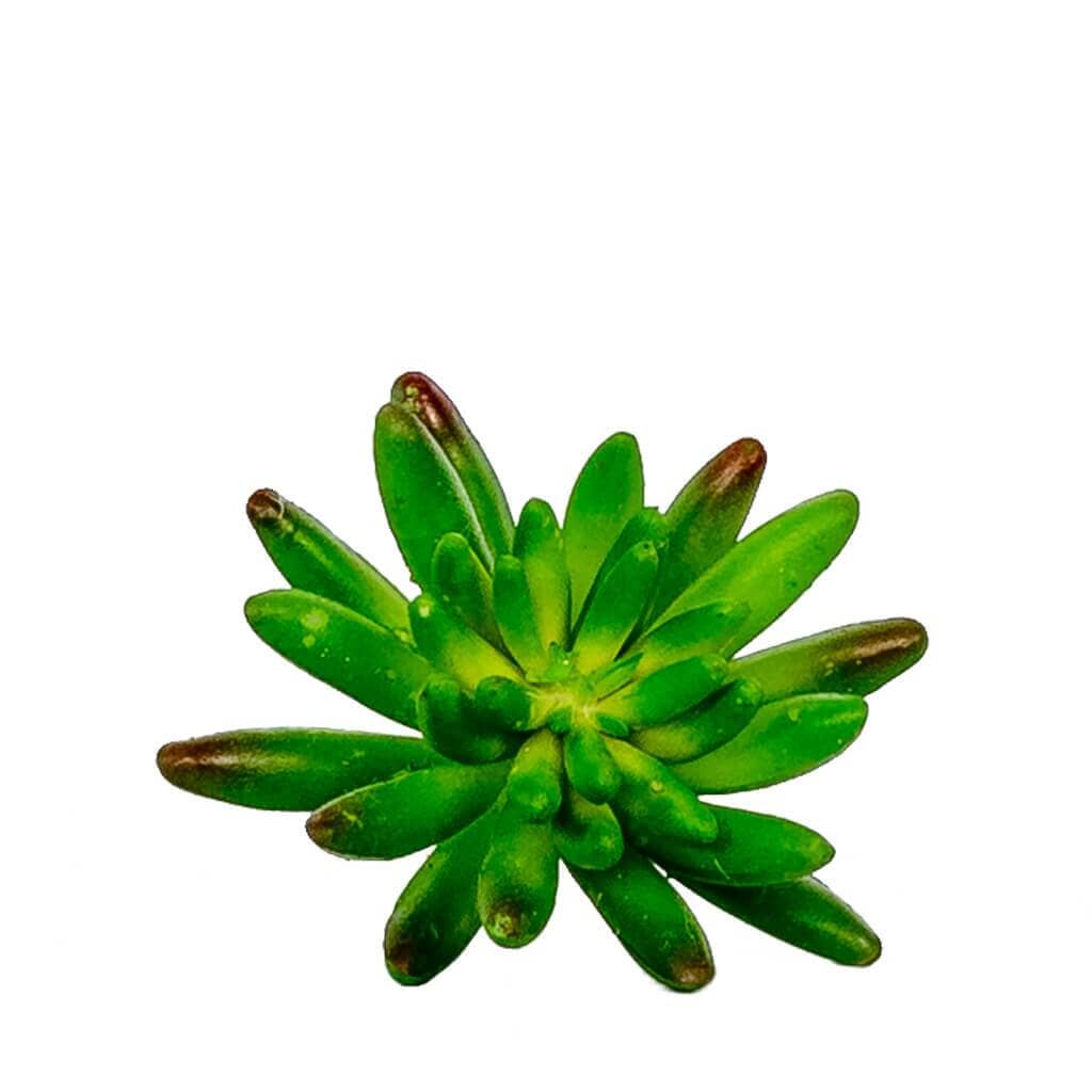 Faux Mama Africa Decor Leather Gallery