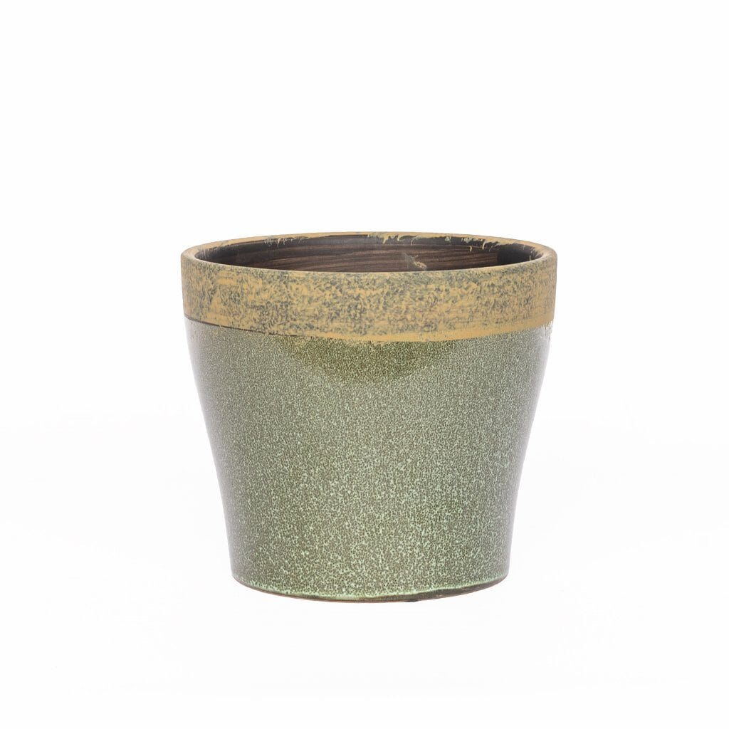 Faux Potted Maiden Hair Fern Decor Leather Gallery