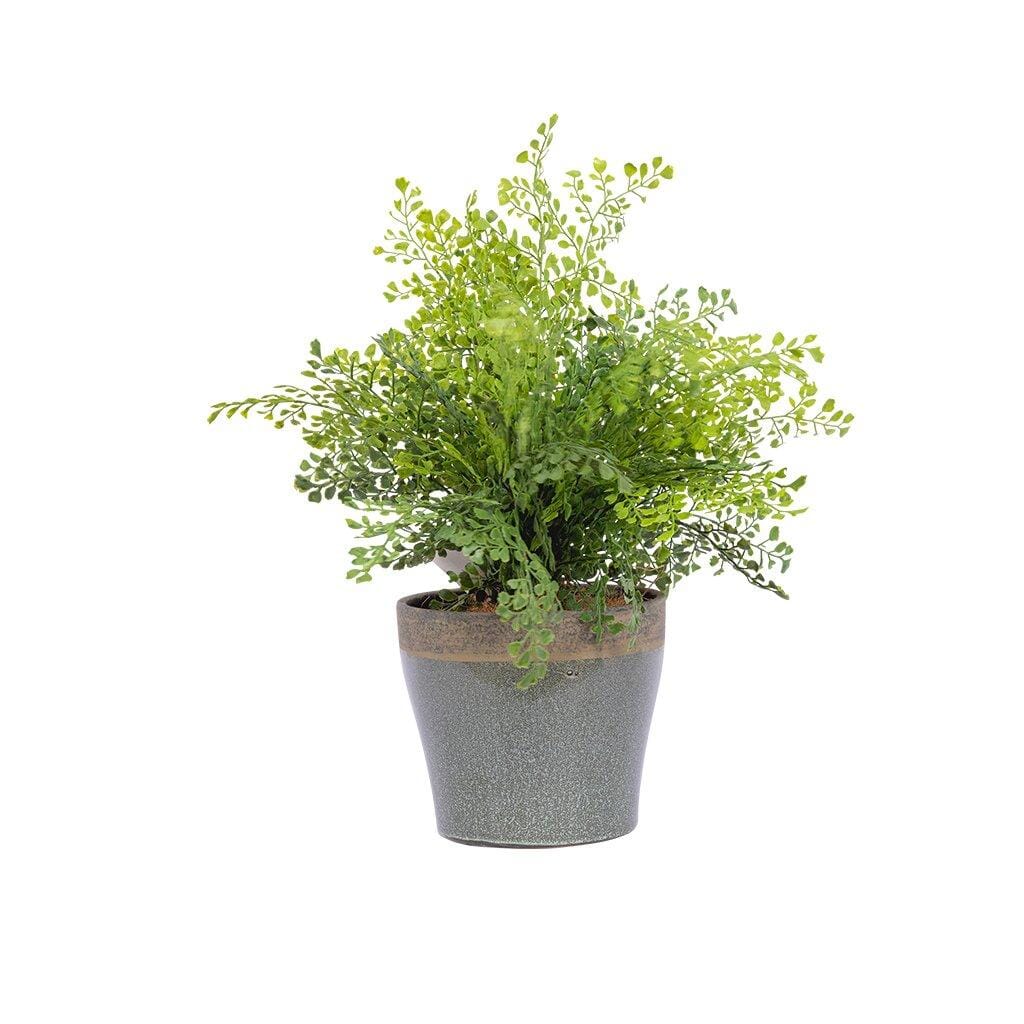 Faux Potted Maiden Hair Fern Decor Leather Gallery