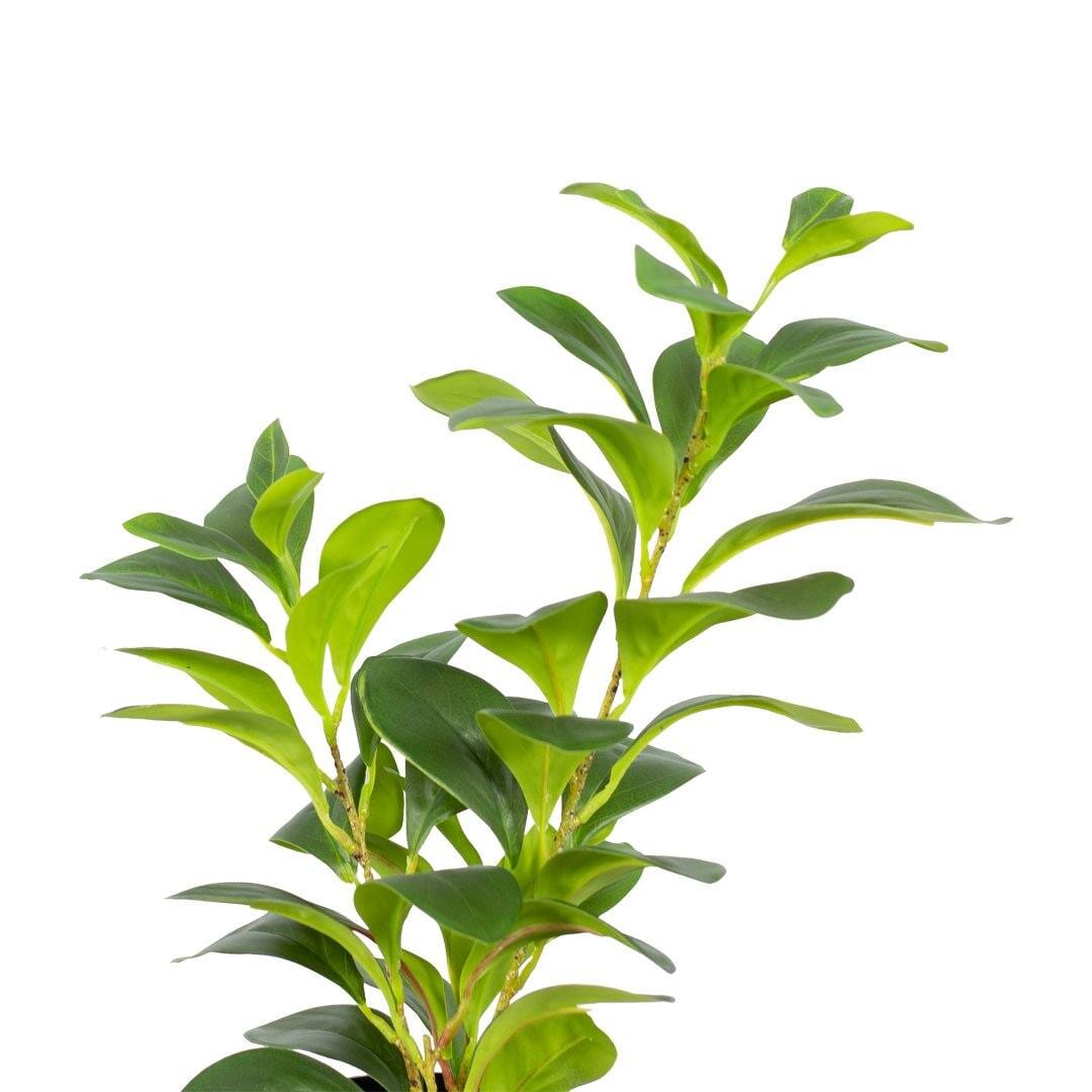 Faux Umbrella Plant Decor Leather Gallery