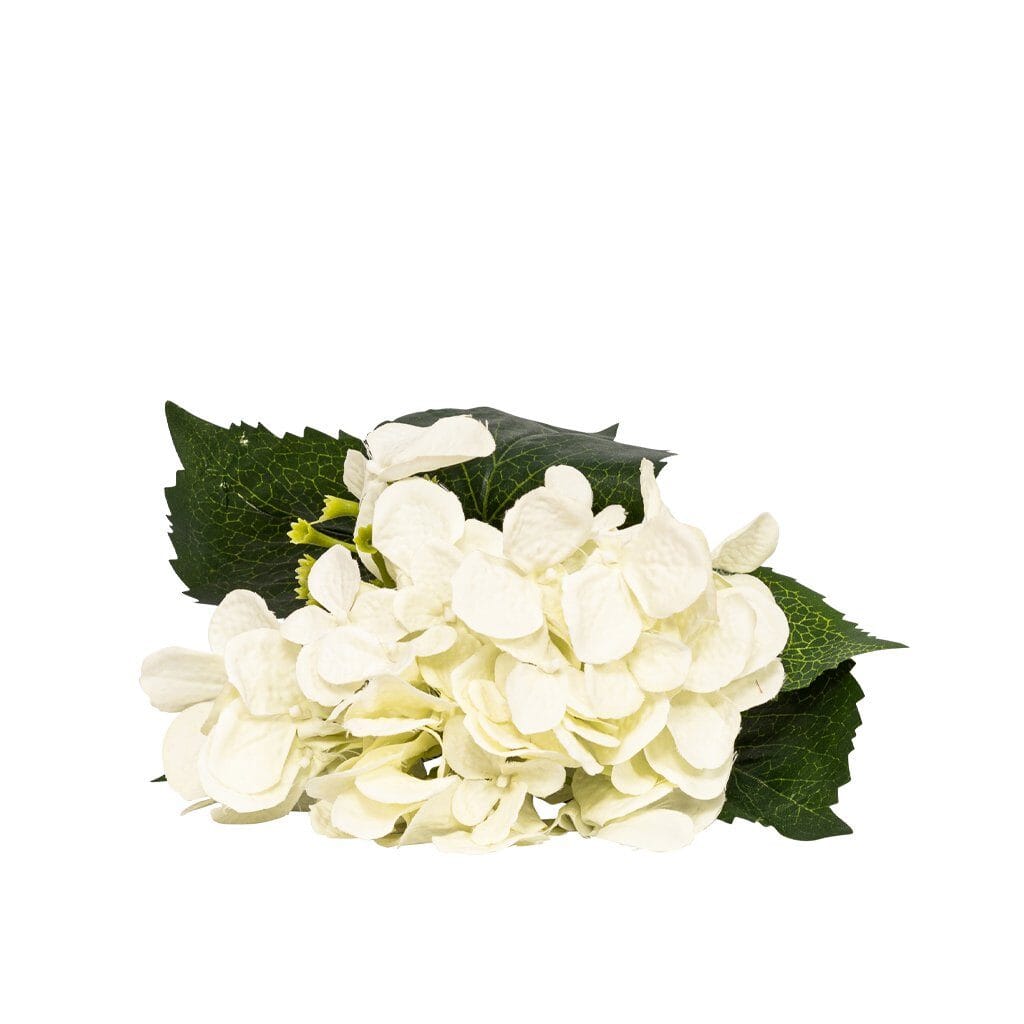 Hydrangea Creampuff - 50cm Decor Leather Gallery