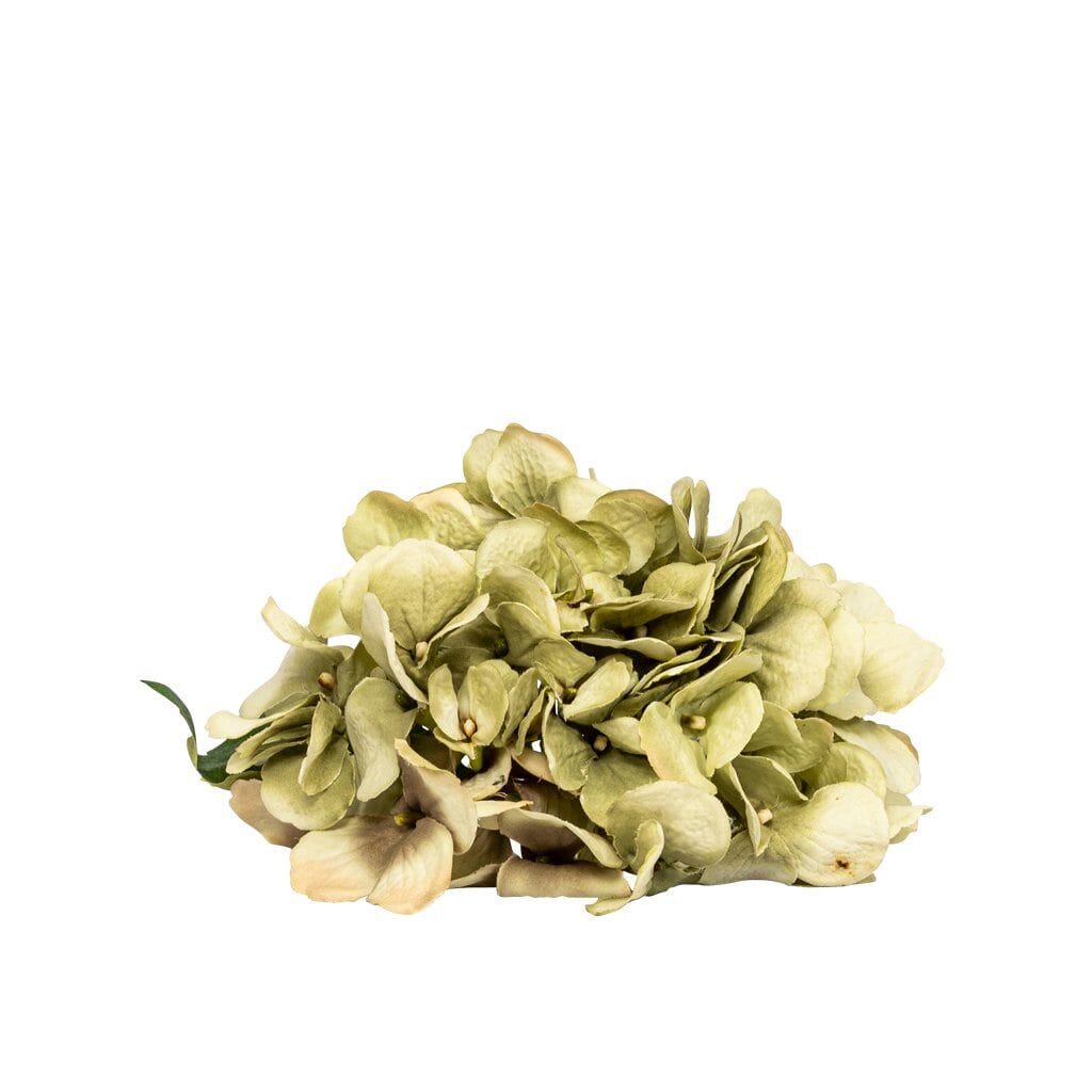 Hydrangea Glorious - 50cm Decor Leather Gallery