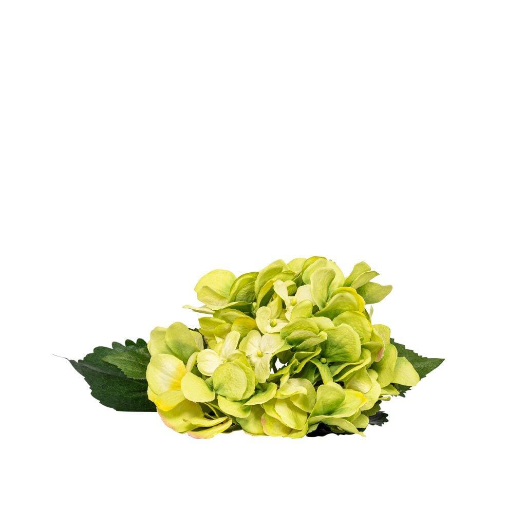 Hydrangea Greenshade - 50cm Decor Leather Gallery
