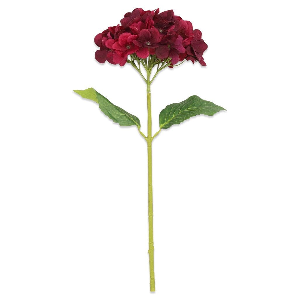 Hydrangea Passionata Decor Leather Gallery
