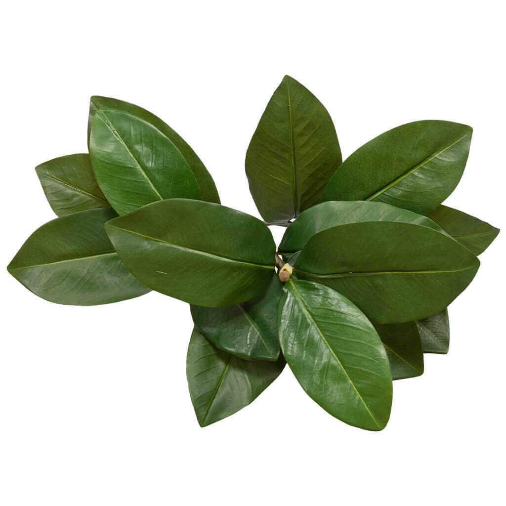 Magnolia Stem Leafspray Decor Leather Gallery