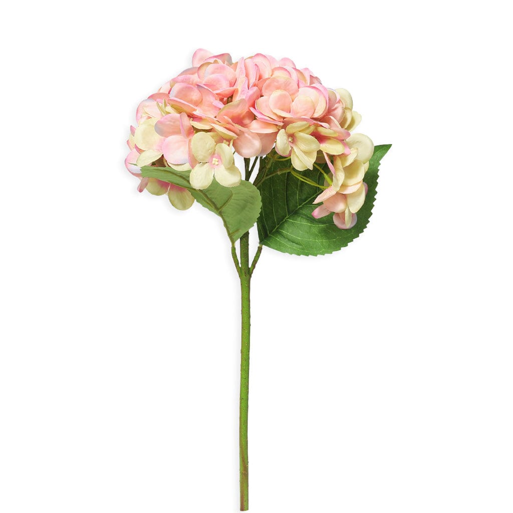 Pink Sugar Stemmed Hydrangea II Decor Leather Gallery