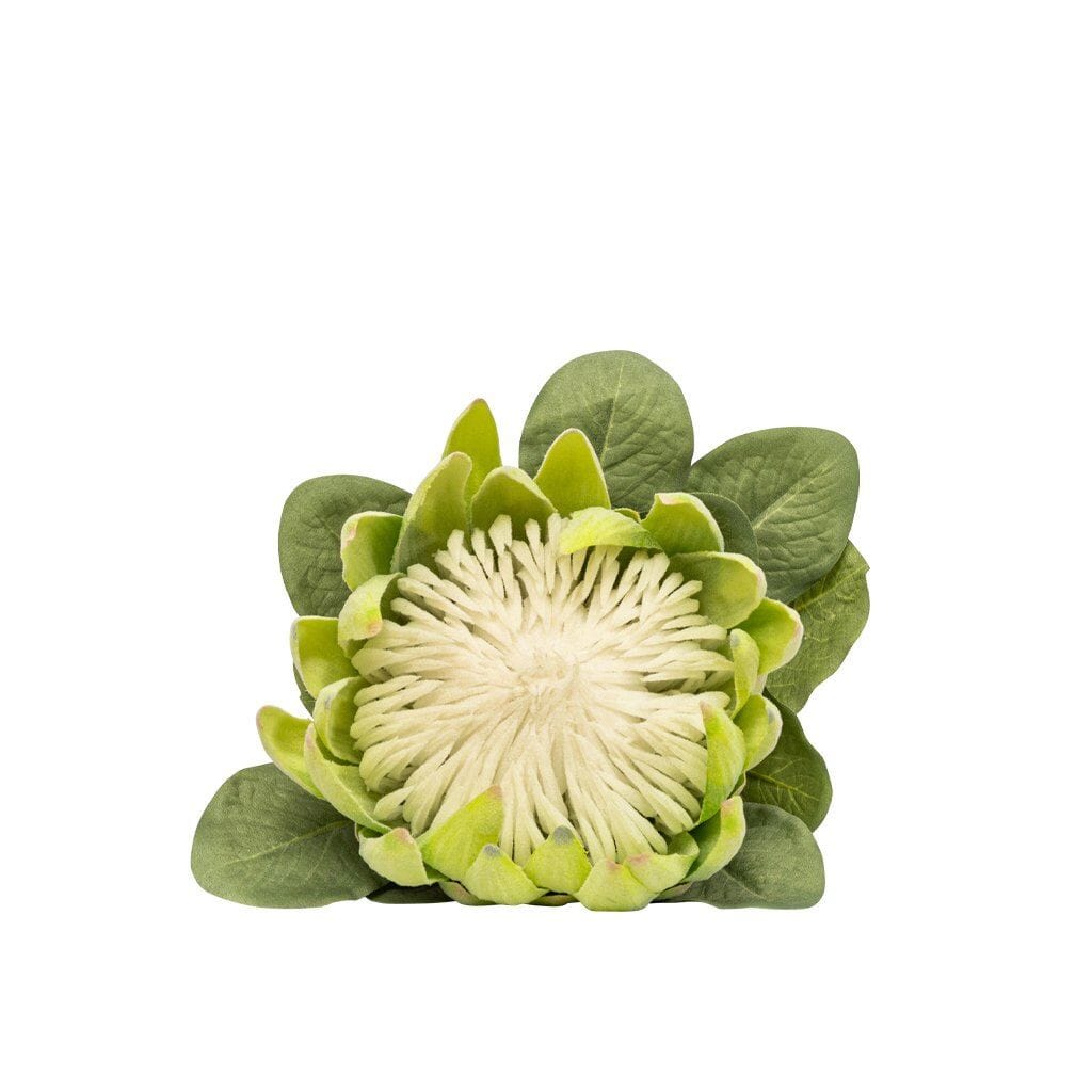 Protea Limetouch Decor Leather Gallery