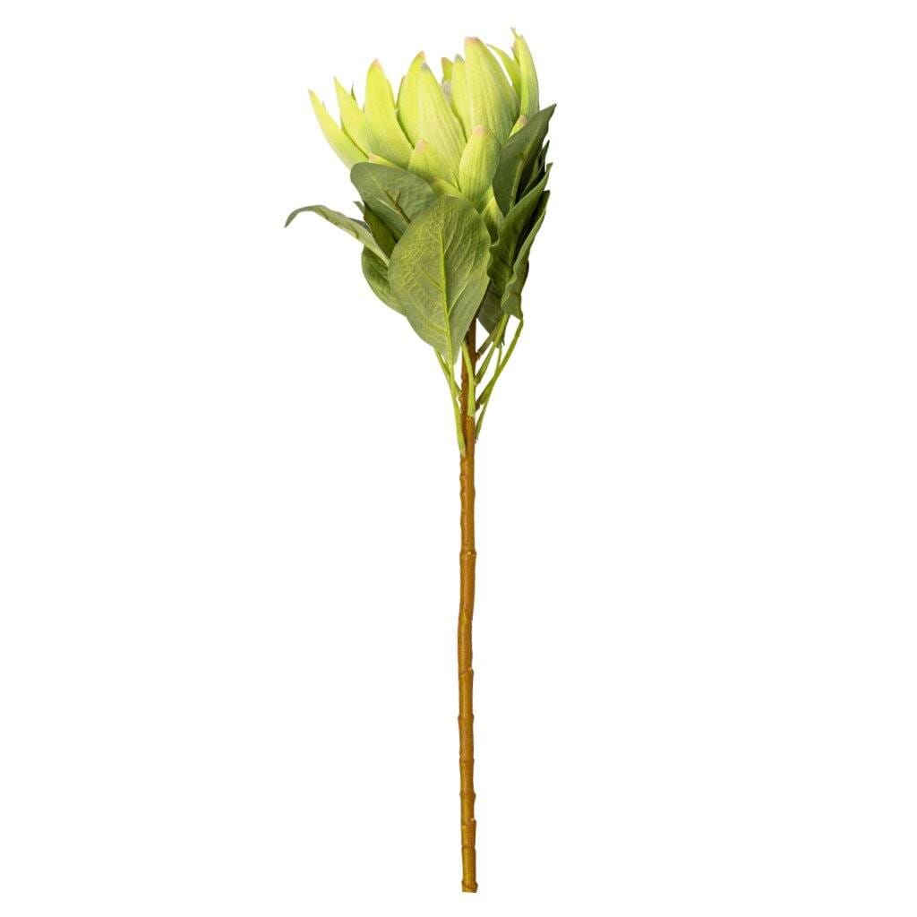 Protea Limetouch Decor Leather Gallery