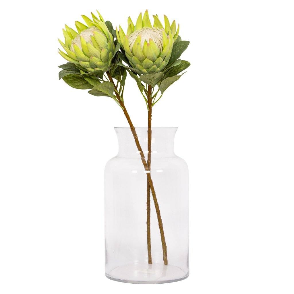 Protea Limetouch Decor Leather Gallery