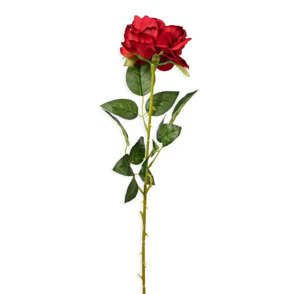 Red Chinese Peony - Decor