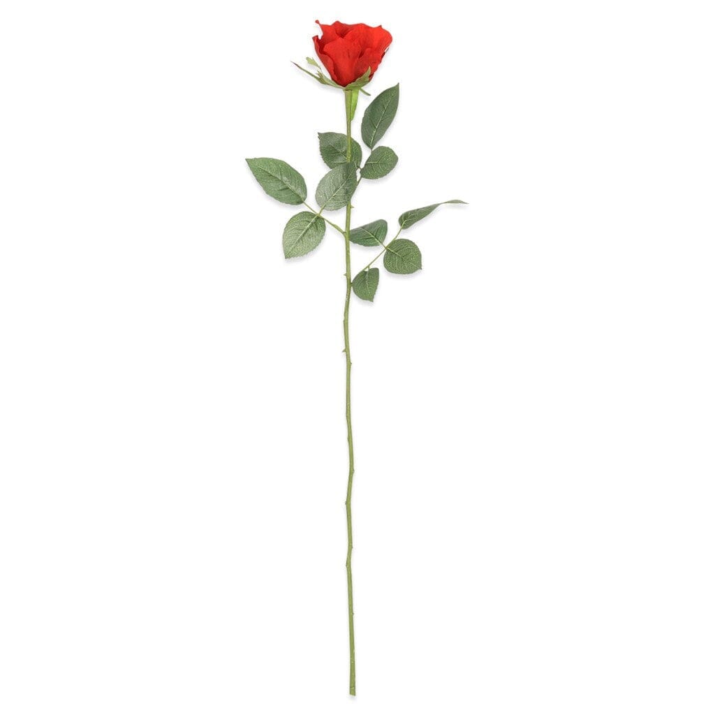 Rosa Red Rose Decor Leather Gallery