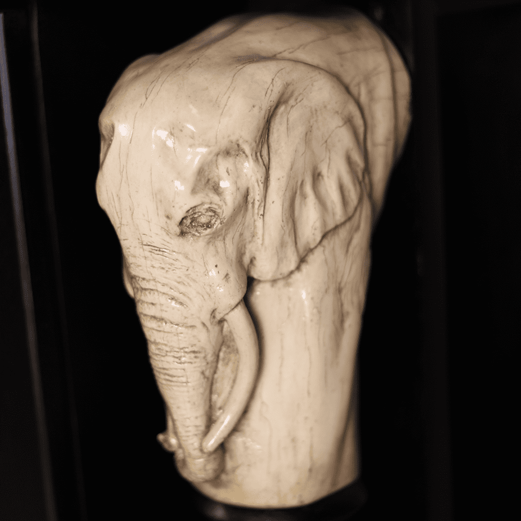 Tembo Plasma - Dark Walnut Coffee Table Leather Gallery