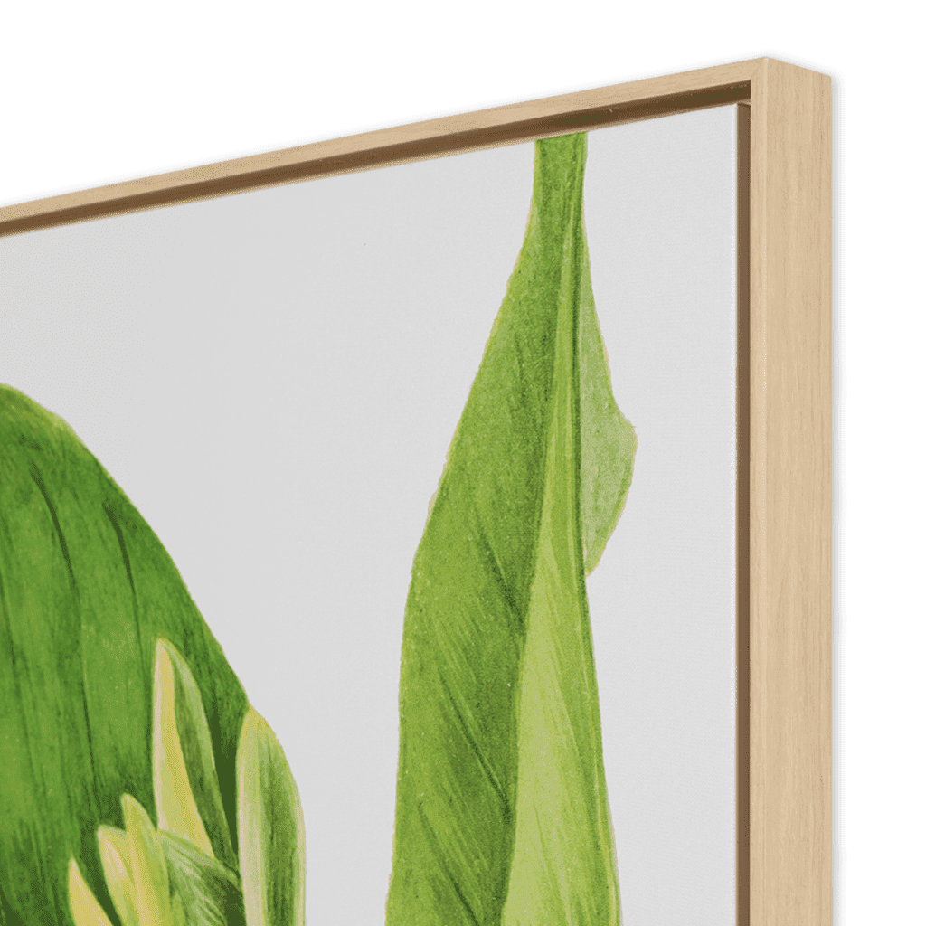 Vintage Botany Painting Leather Gallery