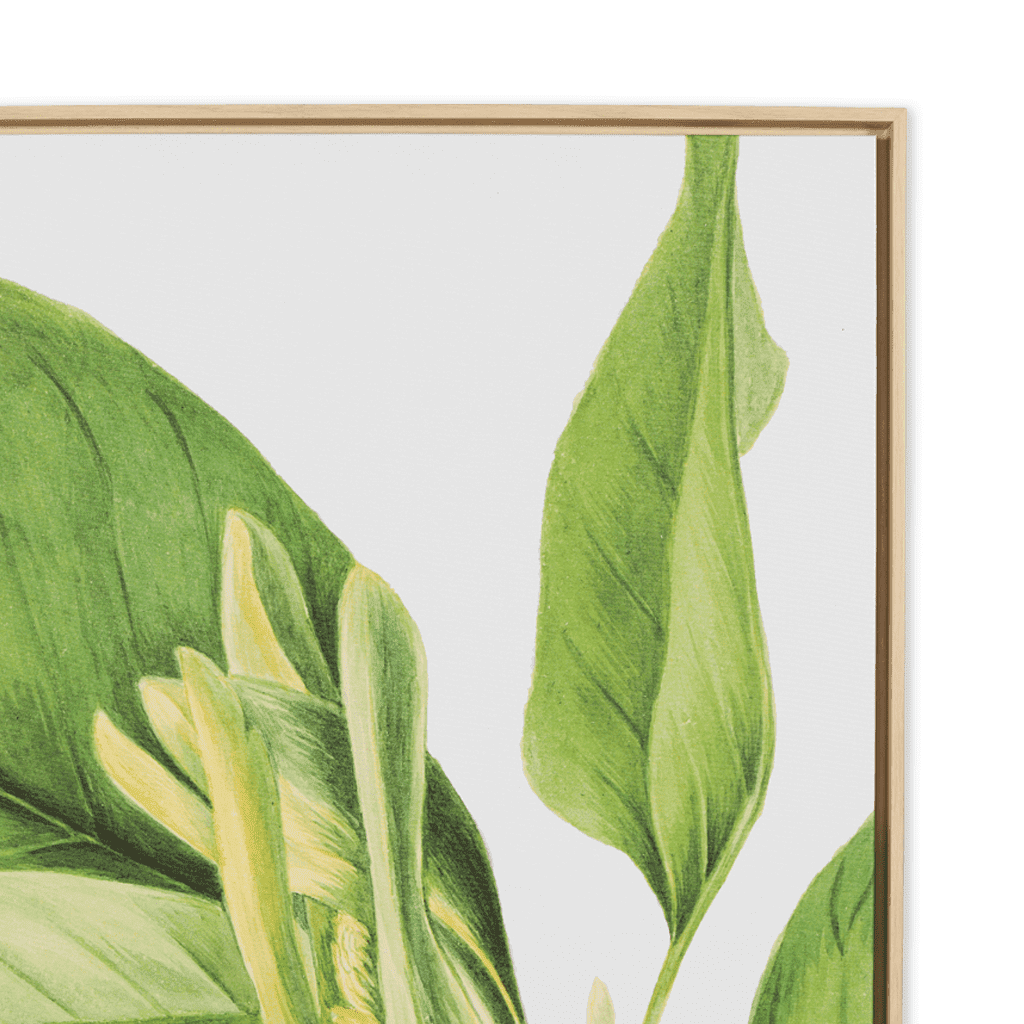 Vintage Botany Painting Leather Gallery