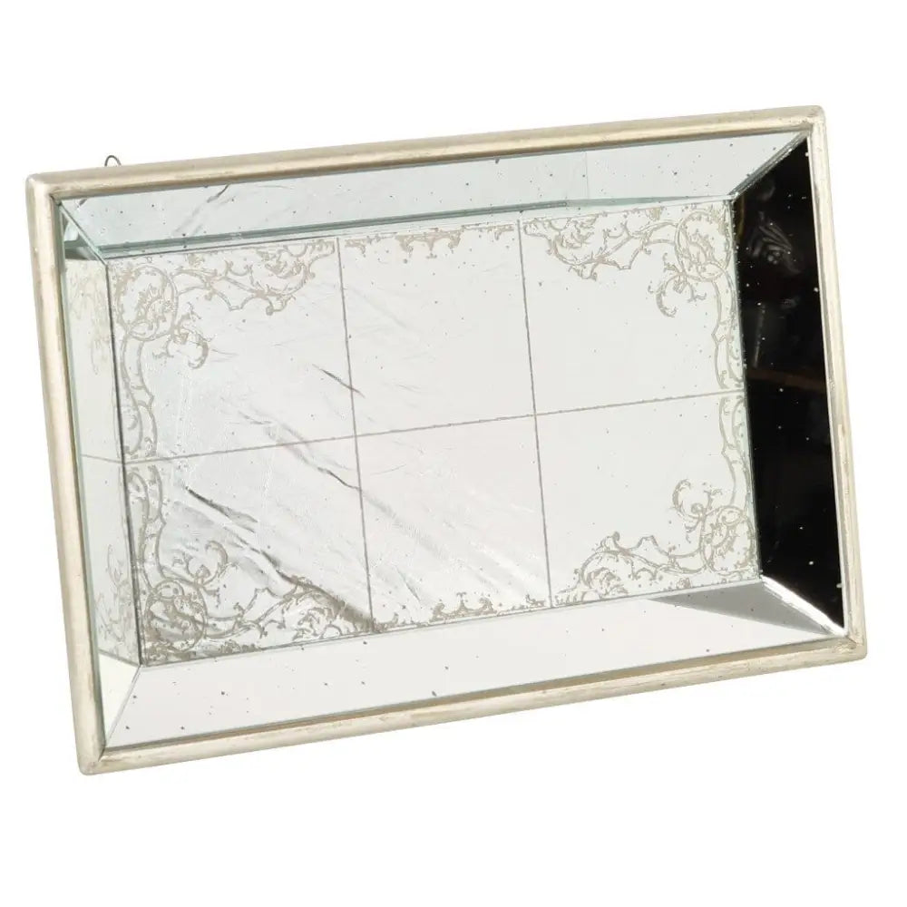 Violet Mirrored Tray - Trays
