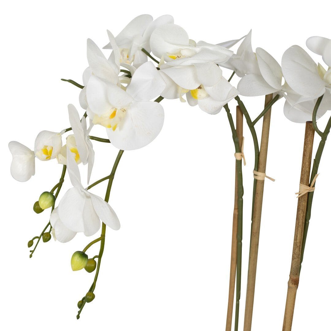 White Belle Orchid Decor Leather Gallery