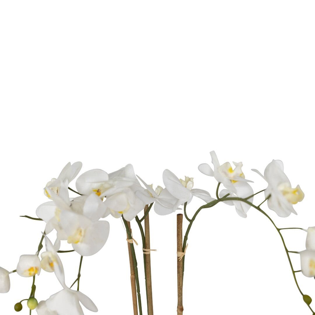 White Belle Orchid Decor Leather Gallery