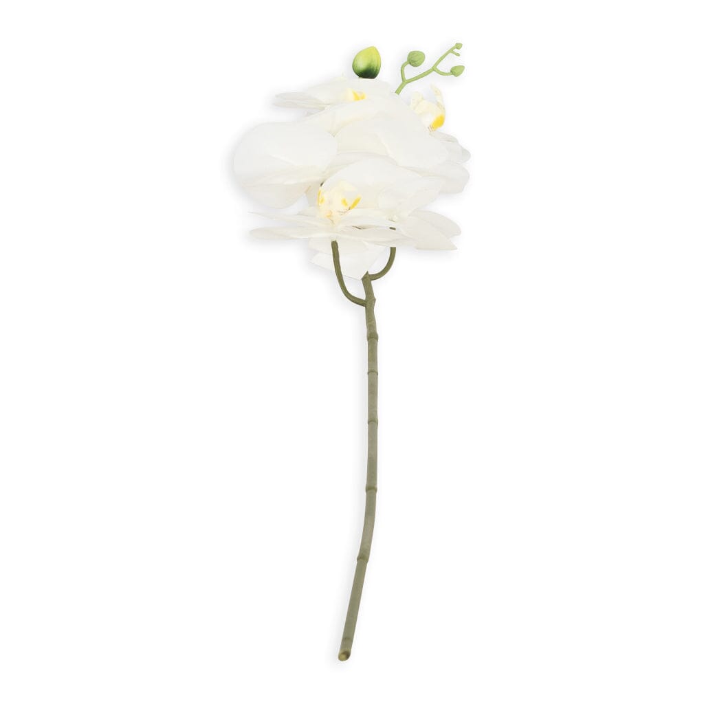 White Orchid - Flower Decor Leather Gallery White 88cm