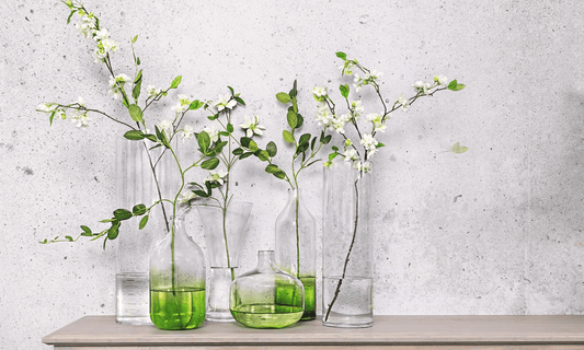HOW TO USE AN ORGANIC DESIGN STYLE IN YOUR HOME