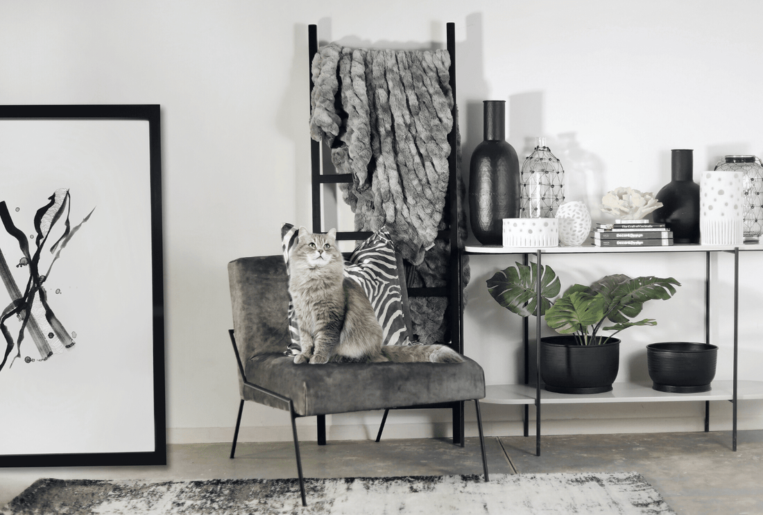 Deck the Paws: Pet-Friendly Furniture Ideas for the Holidays – A Guide For The Season's Festivities