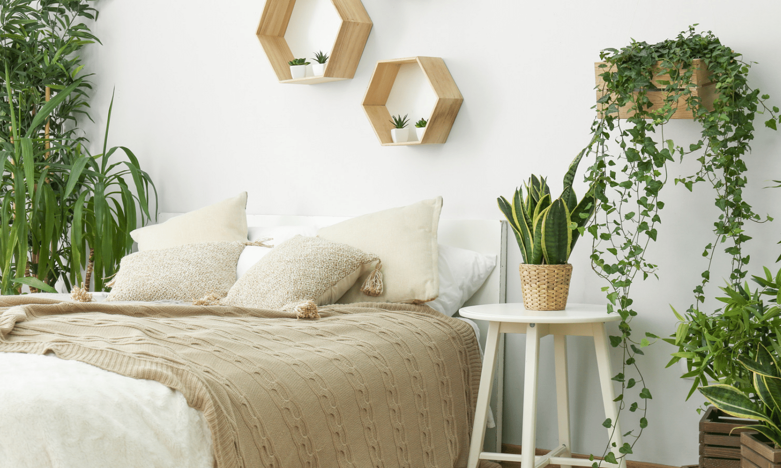 IS IT A GOOD IDEA TO HAVE PLANTS IN YOUR BEDROOM?