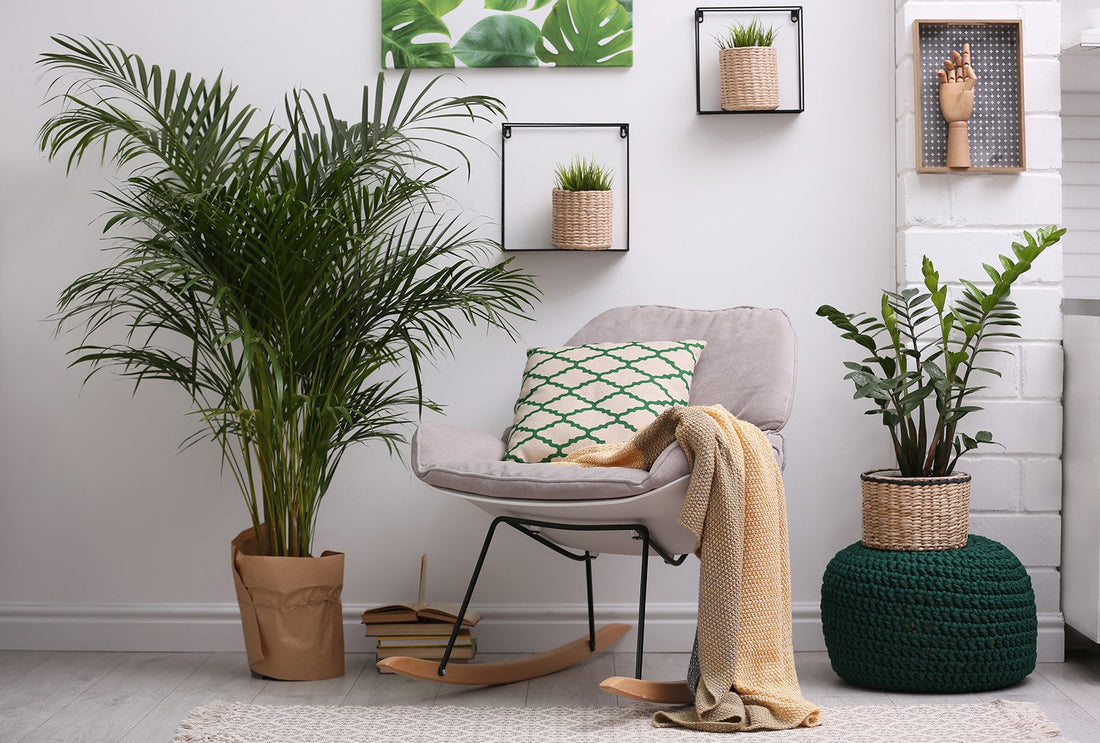 Creating modern organic interiors
