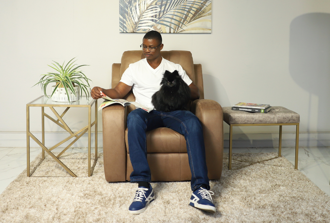 Best Fabric Sofas for Pet Owners: Easy-Clean, Durable & Stylish Options