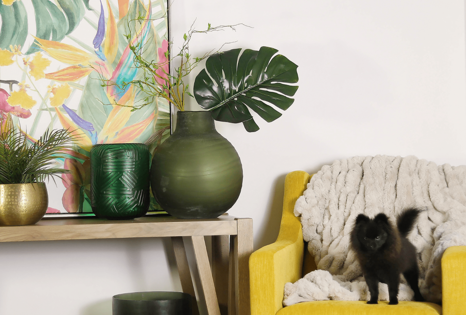 Harmonious Homes: A Guide to Pet-Proofing Your Furniture with Style and Strategy