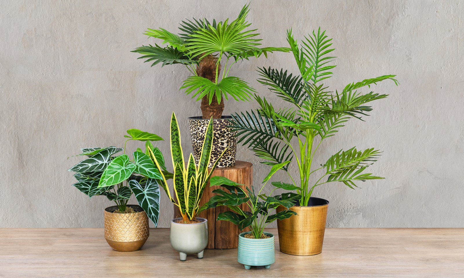 HOW TO DECORATE YOUR LIVING ROOM WITH PLANTS