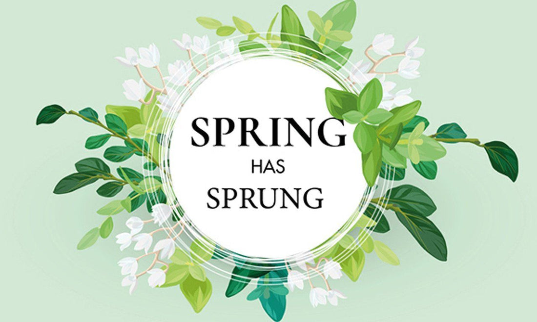 SPRING INSPIRED HOME STYLING TRENDS