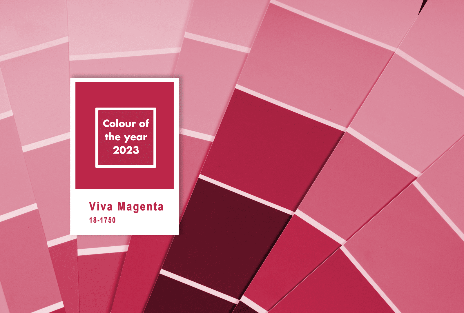 Viva Magenta: A Vibrant and Versatile Choice for Your Home Furniture and Décor