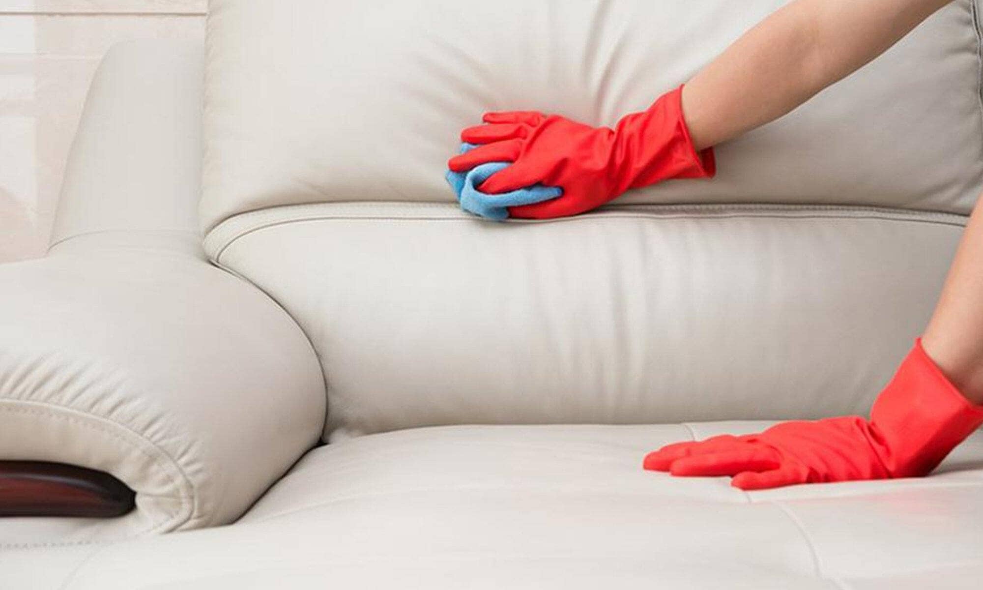 How to clean mould or mildew off a leather sofa