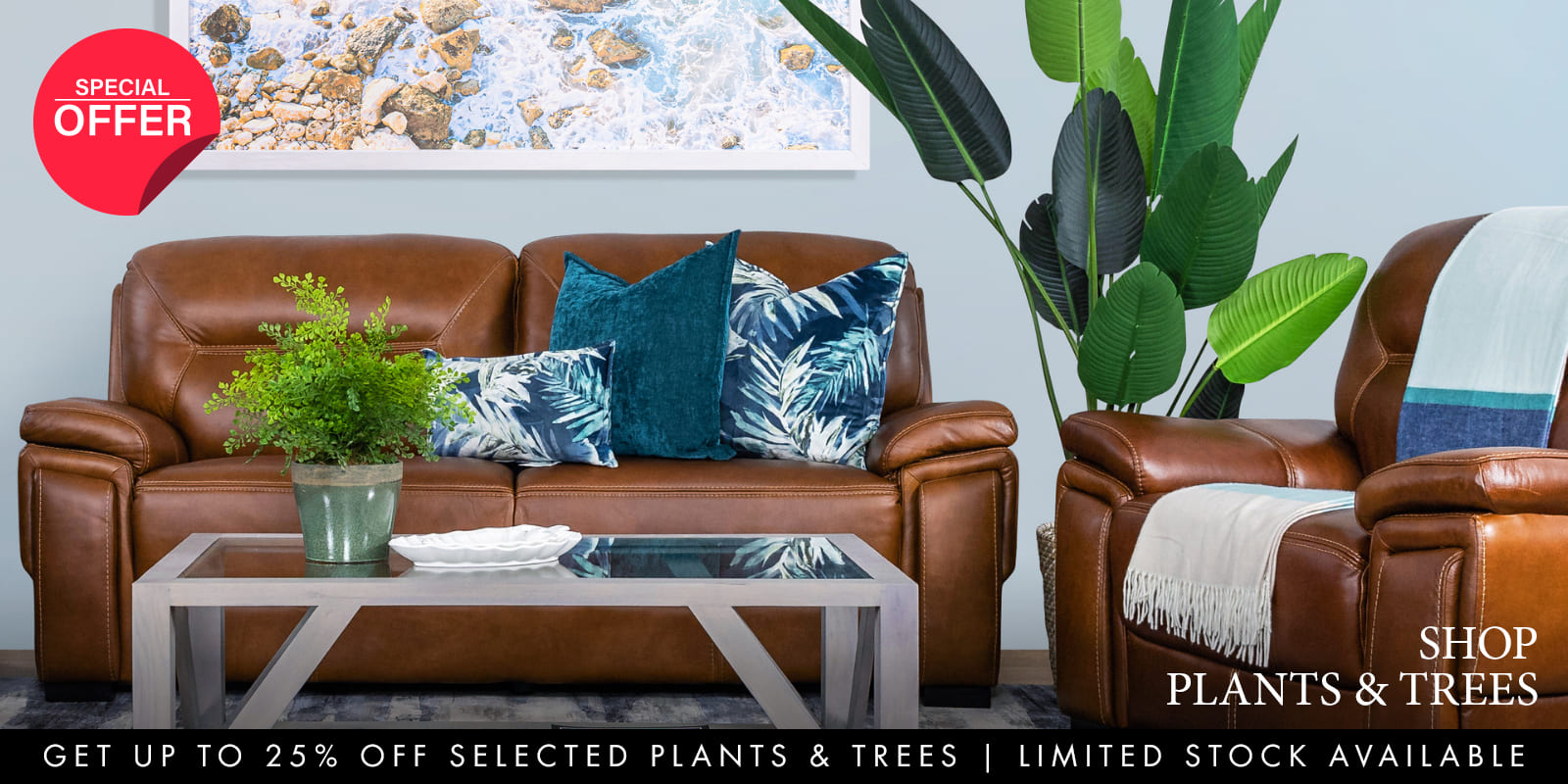 SALE - PLANTS & TREES
