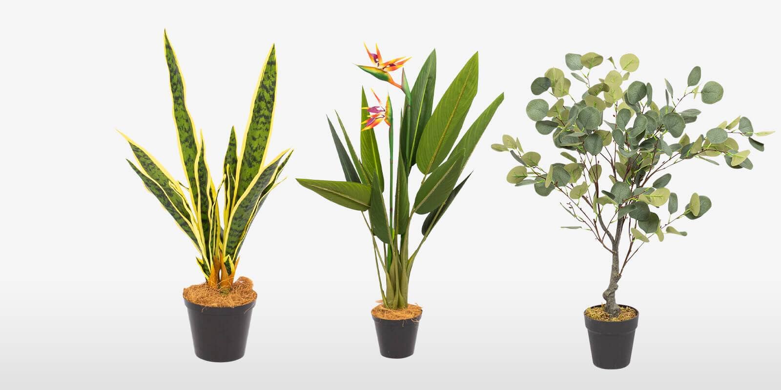 Fake Plants & Artificial Trees